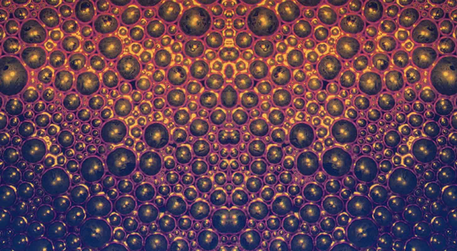 Vinen er holdt op med at gære tidligere, end den burde: 9 tips til, hvad du skal gøre