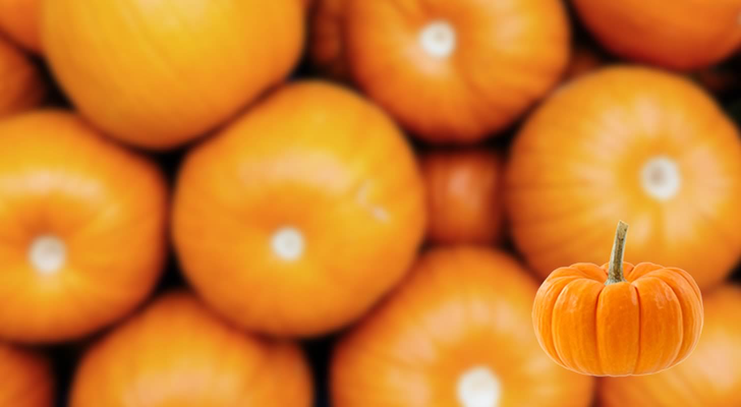 Moonshine iš moliūgų: 3 receptai namuose