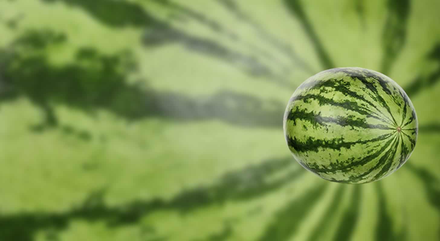 Degtinė iš arbūzo: 2 receptai namuose