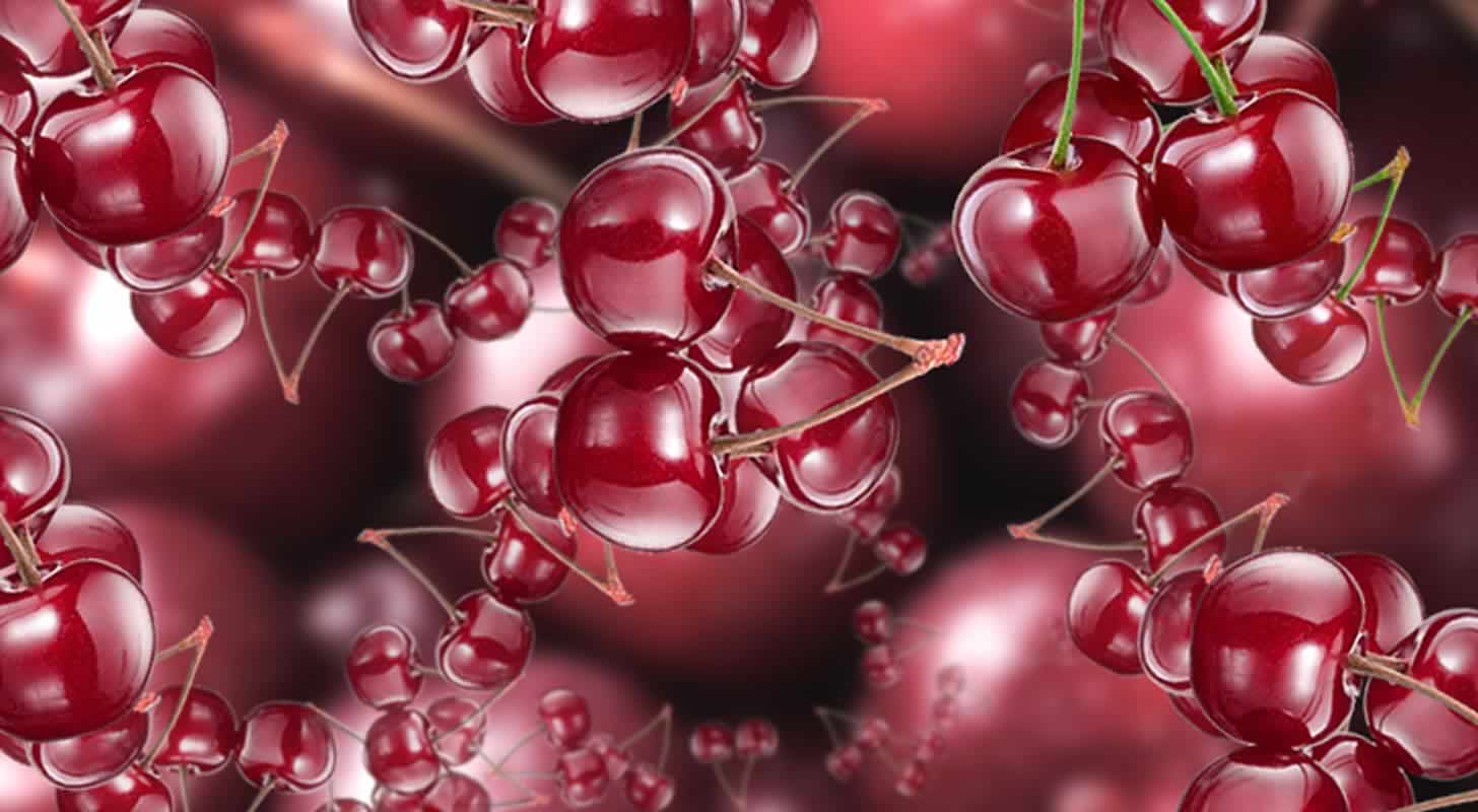 Vyšnių tinktūra: 10 receptų namuose