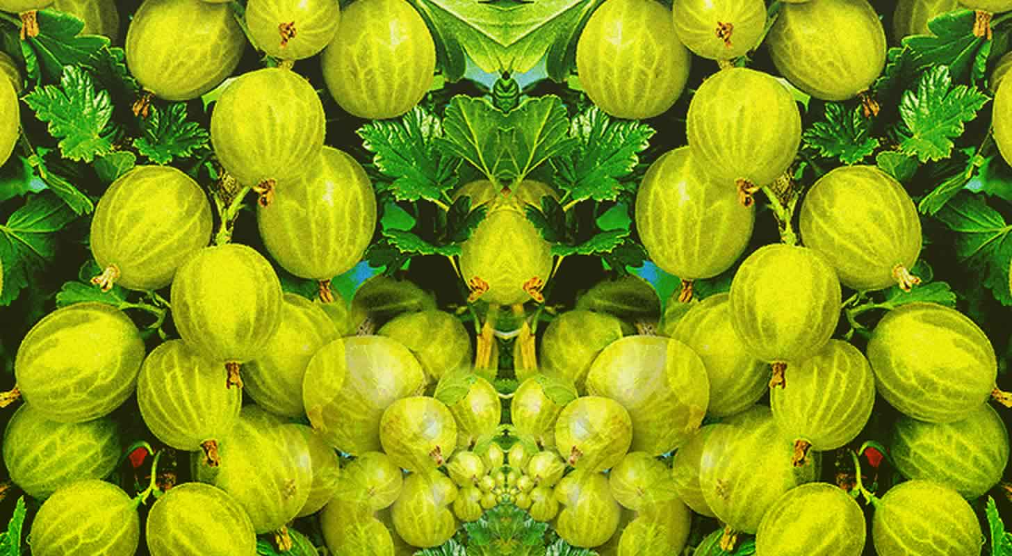 Egreslikőr: 6 házi recept