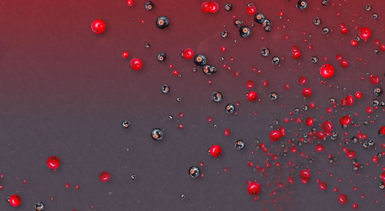 Serbentų likeris: 7 receptai namuose