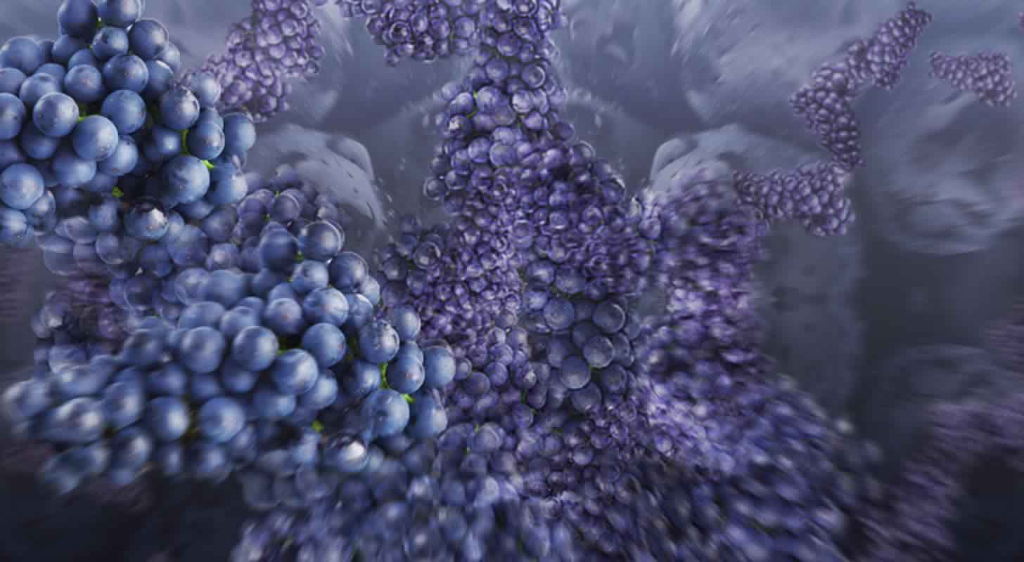 Iš vynuogių gaminamas likeris ir likeris: 7 receptai namuose