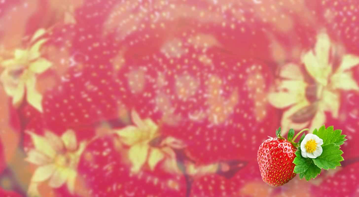 Strawberry liqueur: 4 recipes at home + video recipe