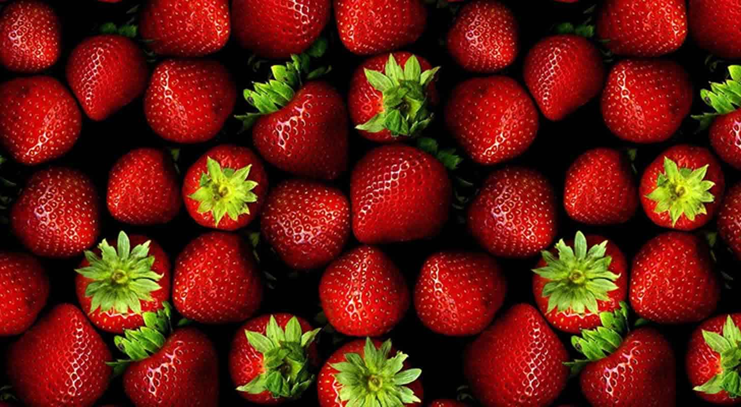 Jordbær tinktur: 5 opskrifter derhjemme