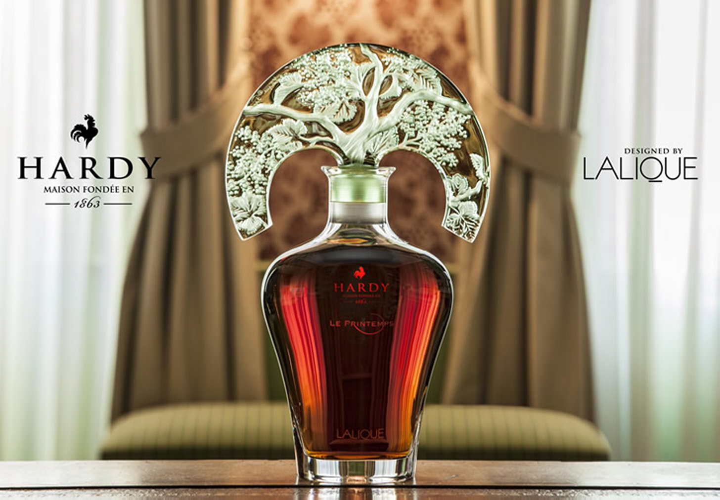 Koňak Hardy