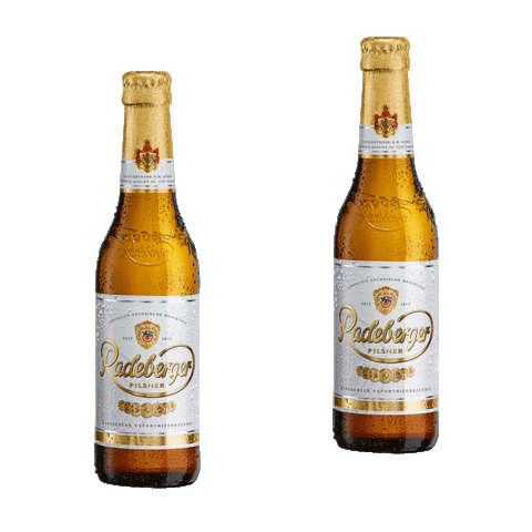 Gif, jak a s čím pít pivo Radeberger